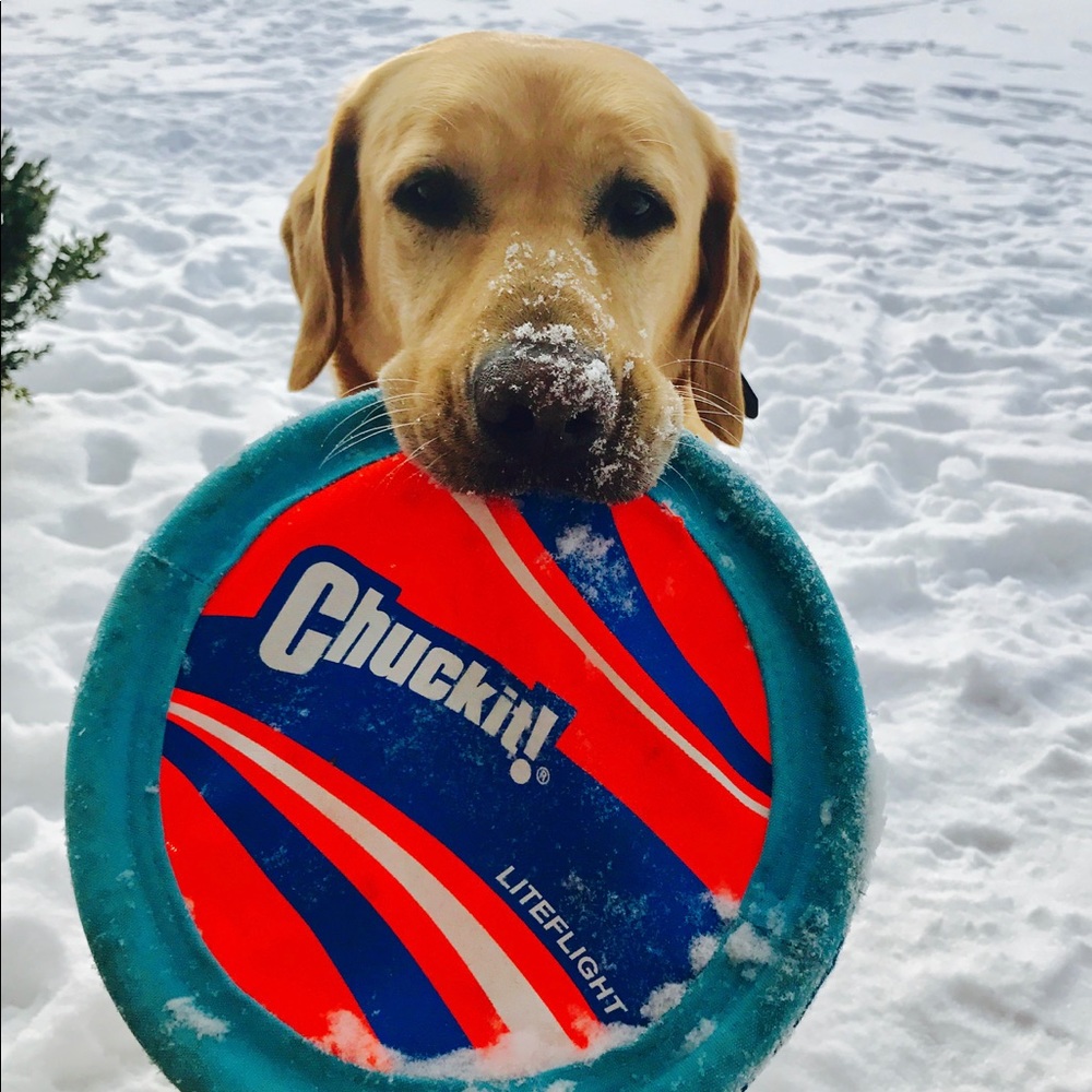 Meet your Posher, Melinda